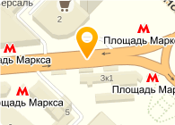 НОВОСИБИРСКИЙ ИНСТИТУТ ЭКОНОМИКИ