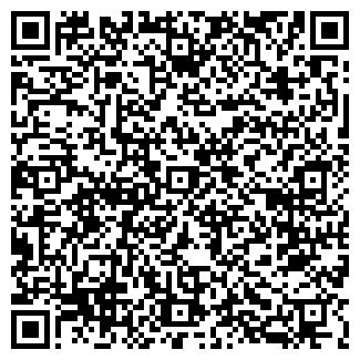 QR-код с контактной информацией организации КИШ-МИШ