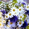 Аватар пользователя Рамзия Фаттахова