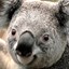 UserImage