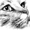 UserImage