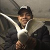 Аватар пользователя artem.gardenin