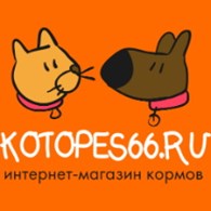 ИП Kotopes66