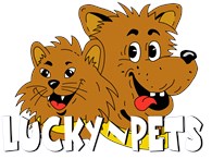 Lucky ~ Pets