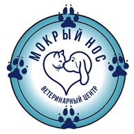 Мокрый нос