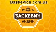 Baskevich