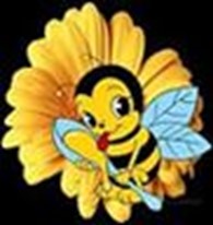 ТОВ "Бджолина Хата"