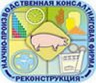 Реконструкция, НПКФ