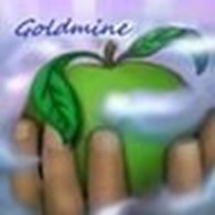Частное предприятие Интернет-магазин "Goldmine"