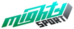 ИП Mighty sport