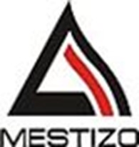 ТОО "Mestizo"