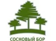 МБУ "Сосновый Бор"