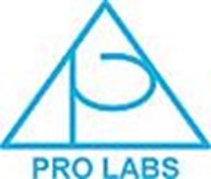 Субъект предпринимательской деятельности РА "ProLabs"