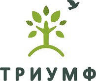 ЭС Триумф