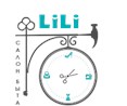 ООО Салон Быта "LiLi"