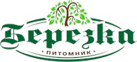 Березка