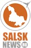 Salsknews