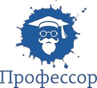 ИП Профессор