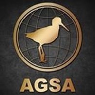 ГК "AGSA"