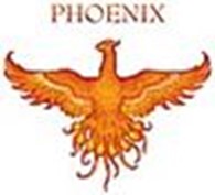 Общество с ограниченной ответственностью V.S.Phoenix