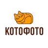Интернет-гипермаркет актуальных товаров «КотоФото»