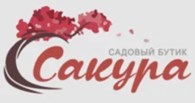 Сакура
