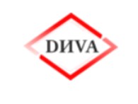 Dиva Group