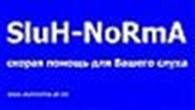 Субъект предпринимательской деятельности Sluh NoRmA