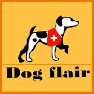 Дрессировка собак DOG FLAIR