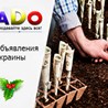 ООО Доска бесплатных объявлений aDo