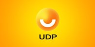  UDP (Ukrainian Development Partners)