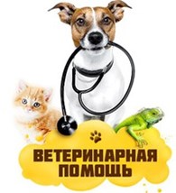 Скорая ветеринарная помощь.