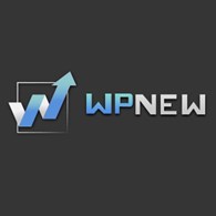 ИП Веб-студия «WPNEW»