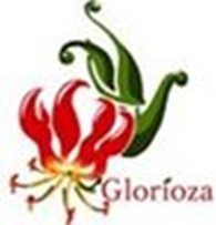 интернет — магазин glorioza.com.ua
