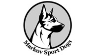Markov Sport Dogs