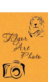 ИП "TIgor Art Фото"