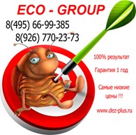 "СЭС Подольск ECO-GROUP"