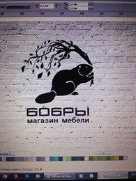 "Бобры"