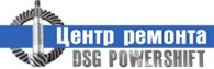  DSG PowerShift