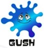 ООО GUSH - KIDS