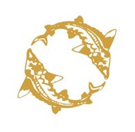  Stellar Caviar