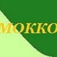 Мокко