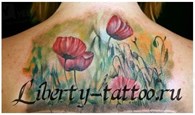 Тату салон "Liberty Tattoo"