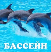 Дельфинарий в Нижневартовске
