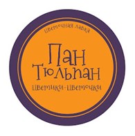  Пан Тюльпан