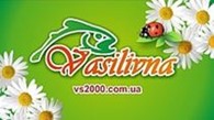 Частное предприятие Vasilivna