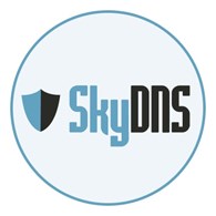 ООО SkyDns