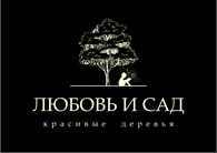 Красивые деревья