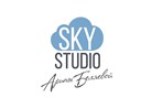 ООО Sky Studio