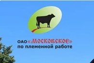 ОАО "Московское" по племенной работе